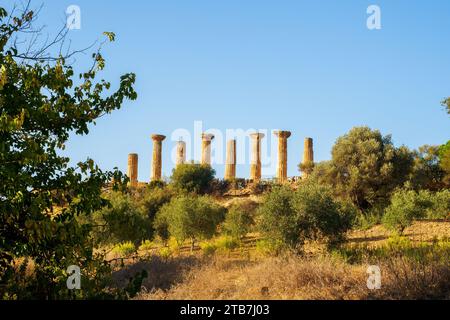 Tempio di Eracle - Valle dei Templi sito archeologico - Agrigento, Sicilia, Italia Foto Stock