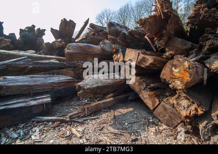 vecchi studi sul legname in difficoltà Foto Stock