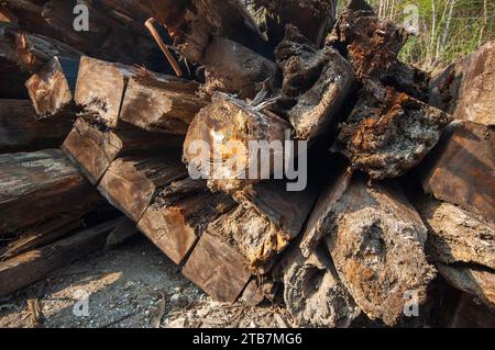 vecchi studi di legname in difficoltà, terminano alla vista Foto Stock