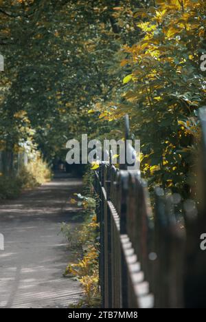 Passerella alberata lungo l'acqua di Leith, Edimburgo, alberi autunnali soleggiati formano un tunnel di fogliame Foto Stock