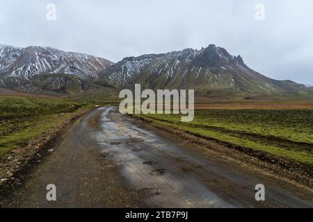 Un'aspra strada di montagna si snoda attraverso gli altopiani panoramici dell'Islanda, circondata da vette innevate e vasti paesaggi verdi Foto Stock