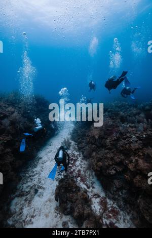 Un gruppo di subacquei nuota tra vivaci formazioni coralline sotto la superficie dell'oceano, circondati da bolle e vita marina a Cancun, Messico Foto Stock