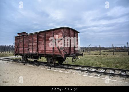 Polonia, Auschwitz II-Birkenau: Sul territorio delle città di Oswiecim (Auschwitz in tedesco) e Brzezinka (Birkenau ), Auschwitz II-Birkenau co Foto Stock