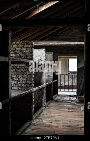 Polonia, Auschwitz II-Birkenau: Sul territorio delle città di Oswiecim (Auschwitz in tedesco) e Brzezinka (Birkenau), Auschwitz II-Birkenau con Foto Stock