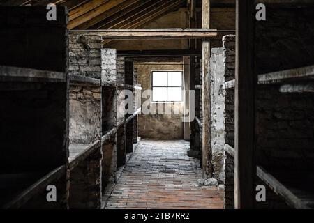 Polonia, Auschwitz II-Birkenau: Sul territorio delle città di Oswiecim (Auschwitz in tedesco) e Brzezinka (Birkenau), Auschwitz II-Birkenau con Foto Stock