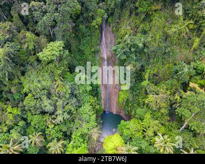 Vista aerea della lussureggiante foresta pluviale tropicale nelle Cascate di Cangbangag, Siquijor, Filippine Foto Stock