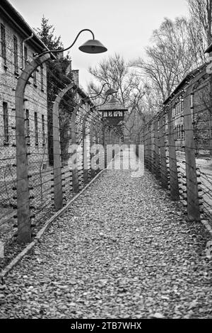 Polonia: Sul territorio delle città di Oswiecim (Auschwitz in tedesco) e Brzezinka (Birkenau), il campo di concentramento di Auschwitz-Birkenau, appartenente Foto Stock