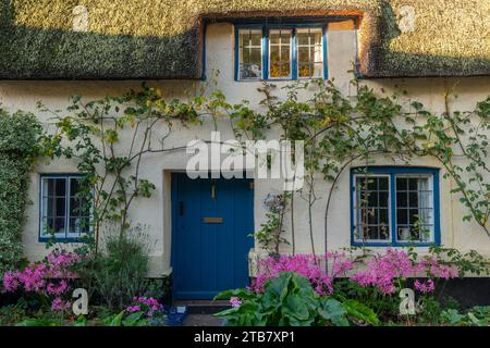 Splendida facciata di un idilliaco cottage con tetto in paglia nel villaggio di Dunster, Exmoor National Park, Somerset, Inghilterra. Autunno (ottobre) 2022. Foto Stock