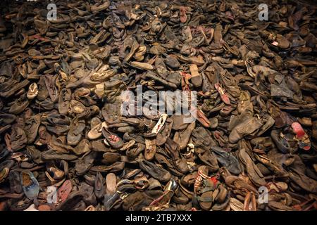 Polonia: Sul territorio delle città di Oswiecim (Auschwitz in tedesco) e Brzezinka (Birkenau), il campo di concentramento di Auschwitz-Birkenau, appartenente Foto Stock