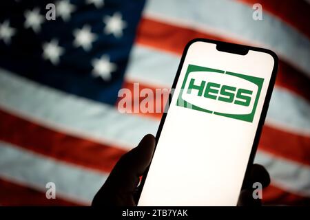 Il logo Hess è raffigurato con una bandiera americana sullo sfondo in questa foto il 13 marzo 2023 a Varsavia, in Polonia. Foto Stock