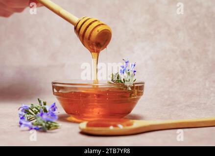 donna che tiene un cucchiaio di legno che gocce il miele su un recipiente di vetro con rami di rosmarino freschi in fiore Foto Stock