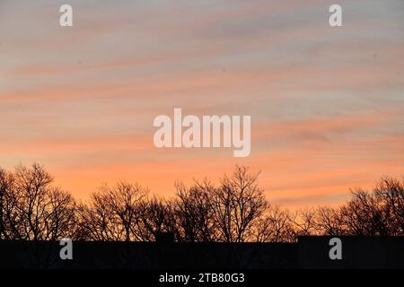 Un pittoresco campo al tramonto, con alberi sagomati contro il vivace cielo arancione e rosa. Foto Stock