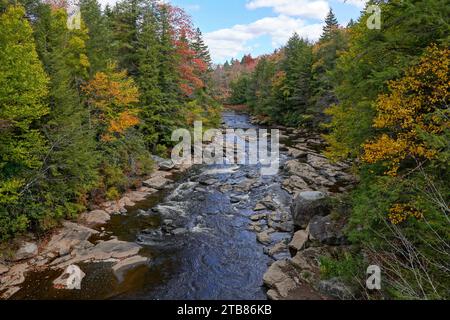 Il fiume Blackwater nella Virginia Occidentale in autunno mentre scorre attraverso il Blackwater River State Park Foto Stock