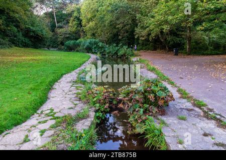 Branksome Chine Gardens, Poole, Regno Unito - 6 ottobre 2023: Il ruscello che attraversa il chine. Foto Stock