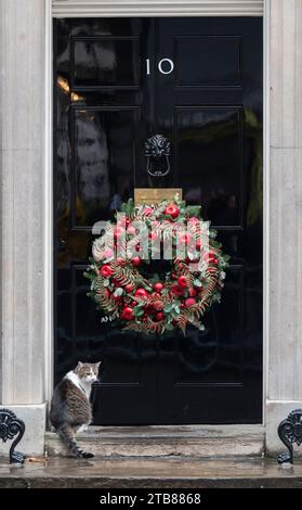 Downing Street, Londra, Regno Unito. 5 dicembre 2023. Larry il gatto aspetta pazientemente di entrare al 10 Downing Street Credit: Malcolm Park/Alamy Live News Foto Stock