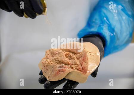 Preparazione del foie gras d'anatra nell'azienda agricola le Haut-Pouyet a Saint-Aubin, nel dipartimento delle Landes (Francia sud-occidentale). Foie gras condito con sale A. Foto Stock