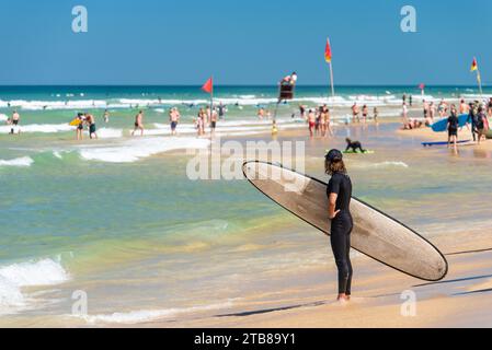 Biscarosse-(Francia sud-occidentale), spiaggia di Biscarosse-Plage: Turisti che nuotano sotto la supervisione di un bagnino seduto su una sedia, e surfisti io Foto Stock