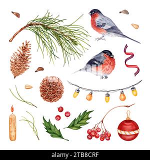 Collezione Christmas Elements. Ramo di pino, coni, noci e semi. Bullfinch, holly, bacche di rowan, nastro, palline e luci per alberi. Acquerello Foto Stock