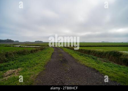 Campi al di fuori di Ternaard, Paesi Bassi Foto Stock