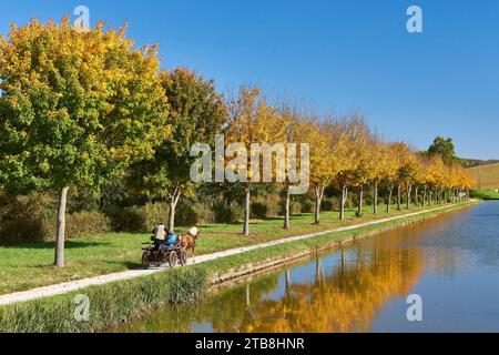 Il Canal de Bourgogne alla chiusa 12 a Revin, vicino a Vandenesse-en-Auxois (Francia nord-orientale). Carrozza trainata da cavalli sulle sponde del canale, ingresso Foto Stock