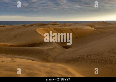 Maspalomas, Spagna - 26 novembre 2023: Dune di sabbia naturali di Maspalomas vicino a Maspalomas, Spagna Foto Stock