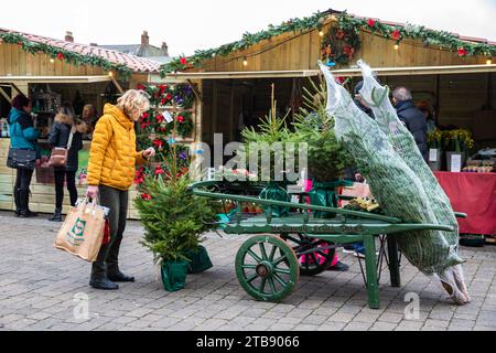 Truro, Cornovaglia, 5 dicembre 2023, nonostante il freddo, la gente era fuori a festeggiare le feste di Natale in una giornata nuvolosa a Truro e a godersi il mercatino di Natale. Il tempo di oggi era un freddo 6C. Crediti: Keith Larby/Alamy Live News Foto Stock