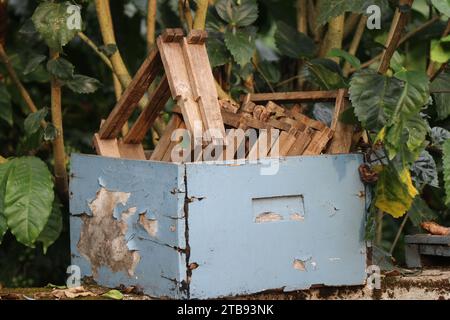 Alveare standard abbandonato fatto di legno che viene lasciato inutilizzato per lungo tempo. Bee box abbandonato Foto Stock