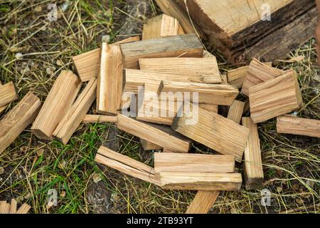 Primo piano di pezzi di legno tritati come legna da ardere giacente a terra Foto Stock