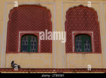 Pigeon poggia su una sporgenza del City Palace di Jaipur; Jaipur, Rajasthan State, India Foto Stock