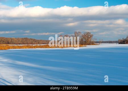 Long Shadows on a Frozen Bayou of the Mississippi nel Trempealeau National Wildlife Refuge, Wisconsin Foto Stock