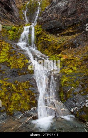 Cascate che scendono da una scogliera nell'oceano sull'Isola della Georgia del Sud; Isola della Georgia del Sud Foto Stock