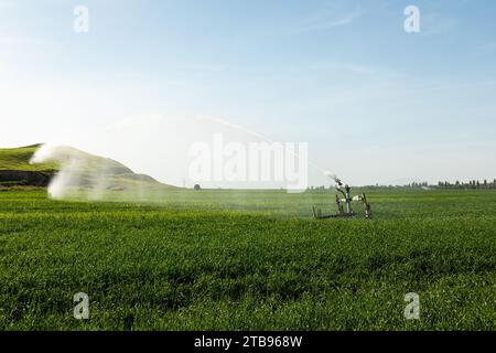 Pistole irrigatore irrigazione sistema irrigazione campo grano Foto Stock
