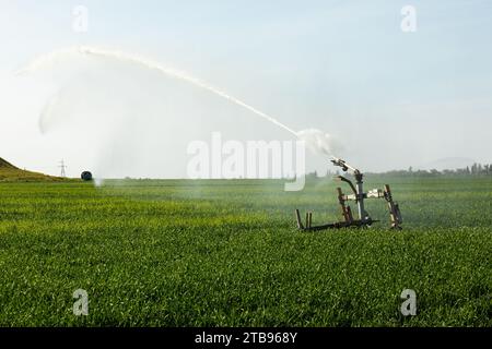 Pistole irrigatore irrigazione sistema irrigazione campo grano Foto Stock