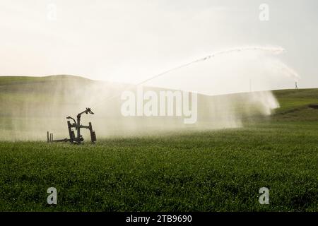 Pistole irrigatore irrigazione sistema irrigazione campo grano Foto Stock