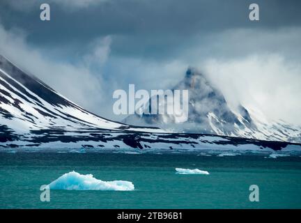 Ghiaccio derivante nel fiordo di Hornsund; Spitsbergen, Svalbard, Norvegia Foto Stock