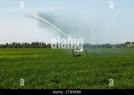 Pistole irrigatore irrigazione sistema irrigazione campo grano Foto Stock