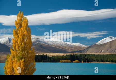 Scena di colori autunnali sul lago Tekapo, South Island, nuova Zelanda Foto Stock