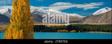 Scena autunnale sul lago Tekapo, sull'Isola del Sud della nuova Zelanda; Isola del Sud, nuova Zelanda Foto Stock