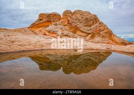 Vista panoramica delle formazioni rocciose riflesse in uno stagno nella meravigliosa area conosciuta come White Pocket, dove linee, contorni e forme sorprendenti creano alie... Foto Stock