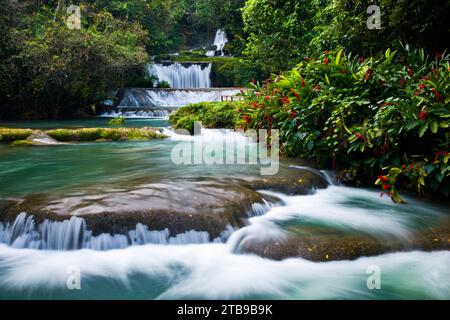 YS Falls, una cascata a 7 livelli sulla costa meridionale della Giamaica; Giamaica, Indie occidentali Foto Stock