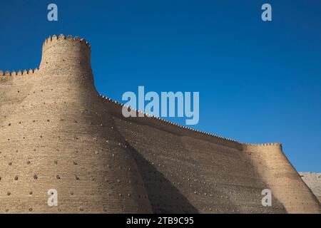 Mura della fortezza dell'Arca di Bukhara in Uzbekistan; Bukhara, Uzbekistan Foto Stock