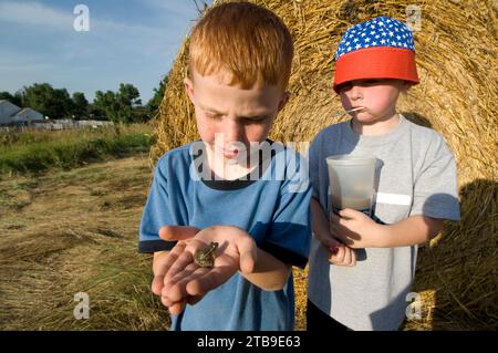 I giovani ragazzi guardano una rana leopardo delle pianure (Rana blairi) davanti a una balla di fieno in un campo agricolo; Greenleaf, Kansas, Stati Uniti d'America Foto Stock