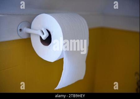 Nuovo rotolo di carta igienica all'interno di un bagno; Lincoln, Nebraska, Stati Uniti d'America Foto Stock