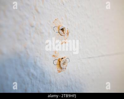 Tassello a parete installato in un appartamento. Polvere e sporcizia del mattone rosso si trovano sulla superficie. Le viti possono essere inserite nelle spine per montare i mobili. Foto Stock