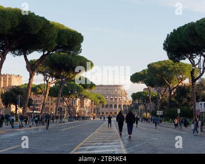 Strada fiancheggiata da pini di pietra che guarda verso il Colosseo in una serata d'autunno nella città di Roma, regione Lazio, Italia, 5 dicembre 2023 Foto Stock