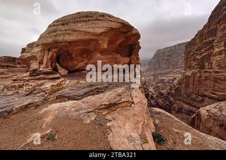 Tipico paesaggio diurno a Petra, Giordania, pareti rocciose intorno a canyon stretto, pochi piccoli cespugli che crescono in un terreno rosso polveroso Foto Stock