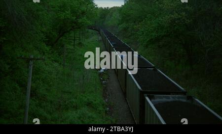 Treno merci che trasporta carbone che passa attraverso boschi lussureggianti al crepuscolo durante l'altezza della primavera. Largo. Foto Stock