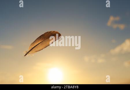 Piuma solitaria che galleggia nel cielo al tramonto, pace, libertà, concetto di speranza Foto Stock