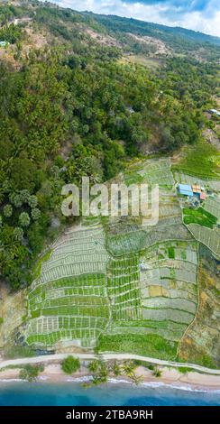 Una vista panoramica aerea delle risaie a terrazze vicino a Baucau sulla costa nord-orientale della Repubblica Democratica di Timor Est. Foto Stock