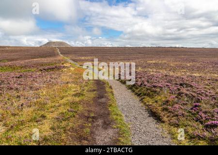 Sentiero per il monte Knocknarea, Grange North, Knockaree, Sligo, Irlanda Foto Stock